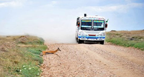 42 immigrants clandestins morts asphyxiés dans un camion en Tanzanie