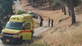 طعن مستوطنتين في القدس‎