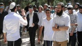 مئات المستوطنين يقتحمون الأقصى