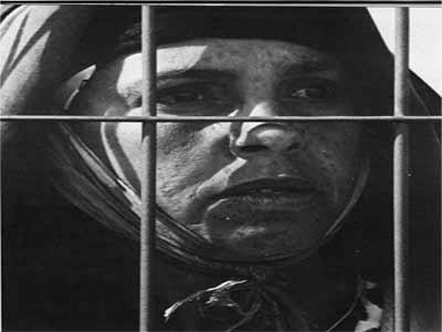 2010: Tragic year for the Algerian cultural scene