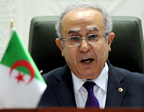 15 Libyan figures visit Algeria for reconciliation between the brothers and opponents