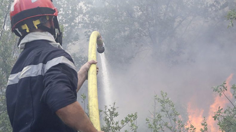 الحرائق “أكلت” 15 ألف هكتار من الغابات والمساحات