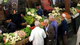 نشهد انهيارا في أسعار الخضر بسبب الوفرة