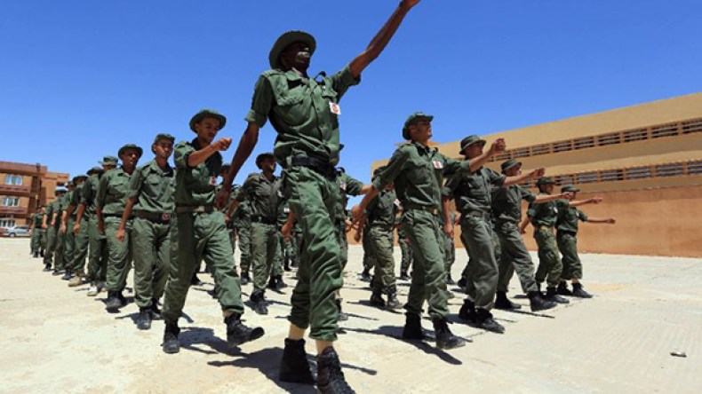 ليبيا تعمل على تشكيل جيش نظامي للقضاء على الجماعات المسلحة