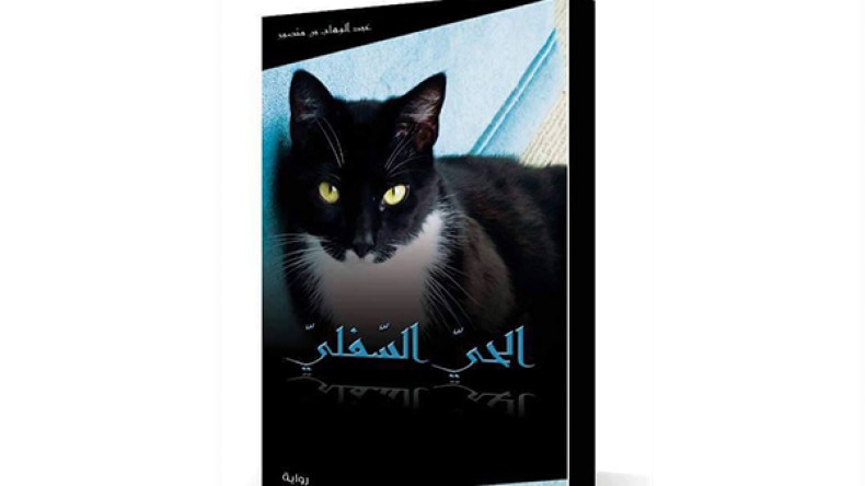 “الحي السلفي” احمد القط يقود ثورة في جمهورية الكوليرا