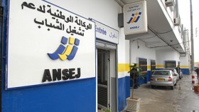 تجميد منح مشاريع‮ “‬أنساج‮” ‬لأصحاب الصيدليات ونوادي‮ ‬الأنترنت