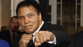 سليماني متأثر بأسطورة الملاكمة “محمد علي” وصحيفة تشبّهه بـ “لوكي لوك”!