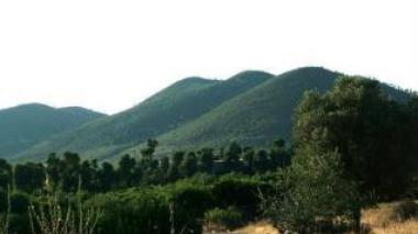 Terrorism : 3 municipal guards assassinated in Skikda Mounts