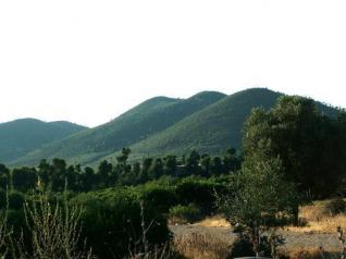 Terrorism : 3 municipal guards assassinated in Skikda Mounts