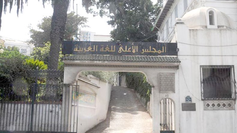 لا جدوى من تشجيع اللغات المحلية على حساب اللغة العربية