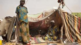 Algeria to provide humanitarian aid to Mali refugees