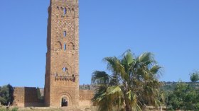 الشاهد الذي تحدى الزمن