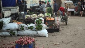 أسواق الجملة للخضر والفواكه عرضة للتسيّب والإهمال