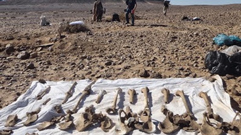 القضاء الإسباني يأمر باعتقال 11 مسؤولا مغربيا