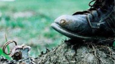 Troops destroy landmines in Algeria