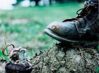 Troops destroy landmines in Algeria