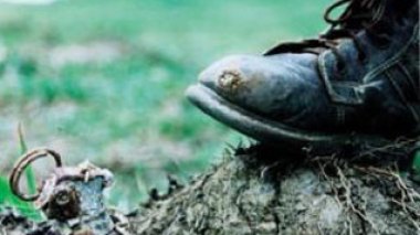 Algerian forces dismantled two roadside bombs east of Algiers