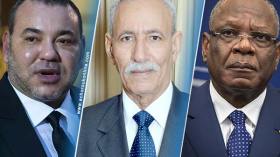 الصحراء تلغي جولة محمد السادس في مالي