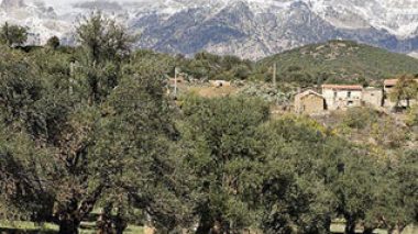 Attaque terroriste contre un convoi de prisonniers à Draâ El Mizan : deux gardiens légèrement blessés