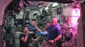 رواد فضاء يتذوقون للمرة الأولى خساً مزروعاً في الفضاء