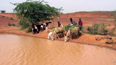 Choléra au Niger: 58 décès, un camp de réfugiés maliens touché