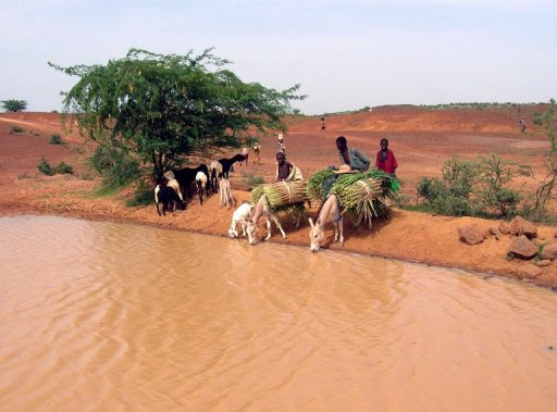 Choléra au Niger: 58 décès, un camp de réfugiés maliens touché