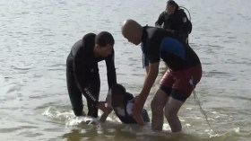 البحر والسدود يبتلعان 54 شخصا وإنقاذ 8 آلاف أخرين من الغرق