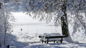 Il va neiger ce lundi sur cinq wilayas