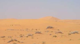 مشروع “عرق الجنوب الغربي” ينطلق سبتمبر القادم