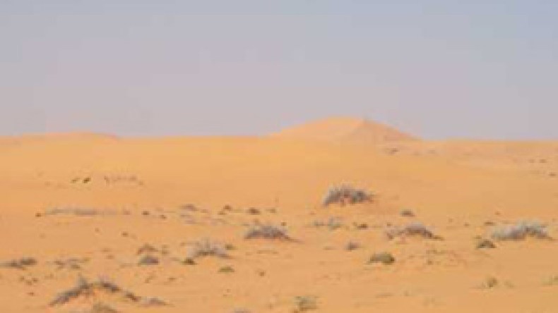 مشروع “عرق الجنوب الغربي” ينطلق سبتمبر القادم