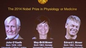 فوز أمريكي ونرويجيين بجائزة نوبل في الطب 2014