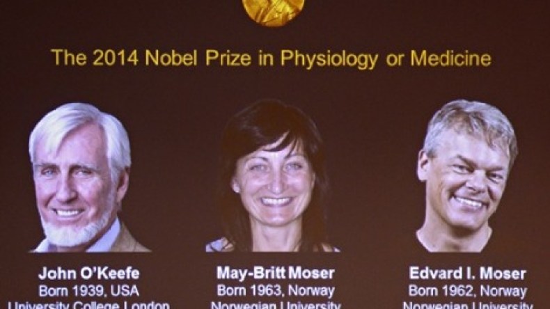 فوز أمريكي ونرويجيين بجائزة نوبل في الطب 2014