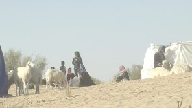 المناطق الرعوية في طريقها إلى الزوال بعد توسع عملية مسح الأراضي