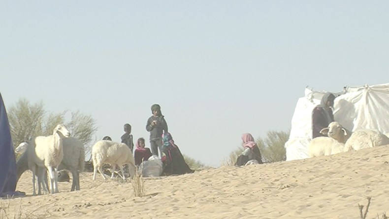 المناطق الرعوية في طريقها إلى الزوال بعد توسع عملية مسح الأراضي