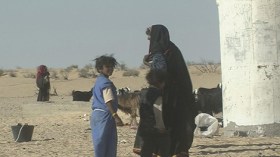 المنسيون.. جزائريون بلا تاريخ ميلاد في ولايات الجنوب