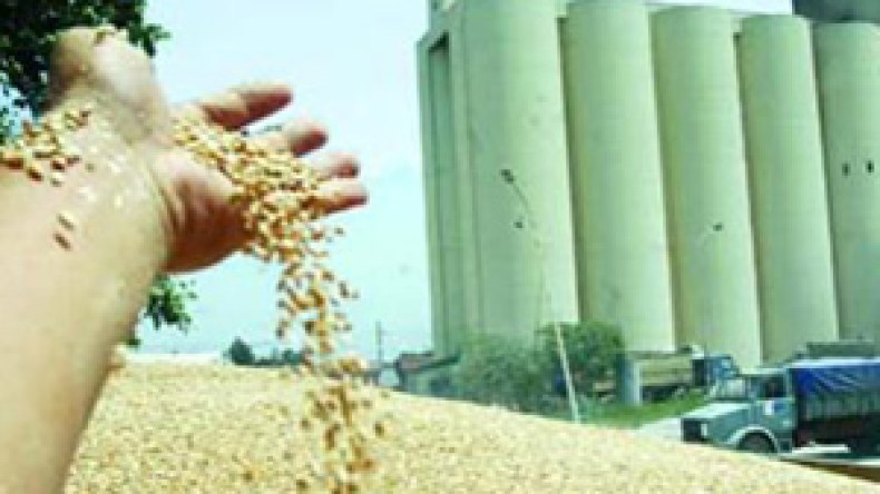 الديوان‭ ‬المهني‭ ‬للحبوب‭ ‬يتهم‭ ‬أطرافا‭ ‬أجنبية‭ ‬في‭ ‬رفع‭ ‬أسعار‭ ‬الأسمدة