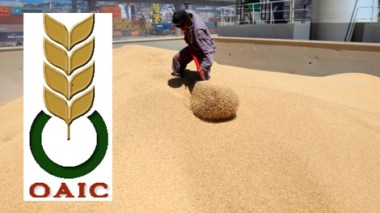 Algeria imports 45,000 tons of rotten wheat
