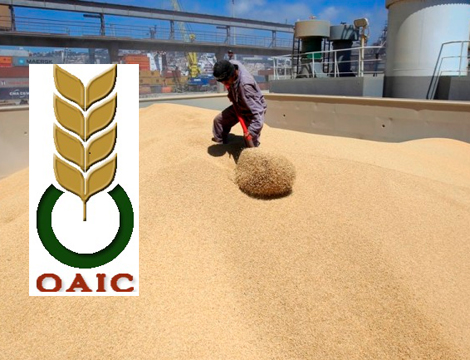 Algeria imports 45,000 tons of rotten wheat
