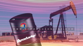 Algeria Thwarts Total’s Anadarko Deal