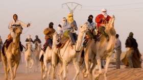 الشعر الملحون في طريق الاندثار بورڤلة