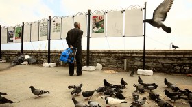 العاطفة و”الزردات” لنيل الأصوات بإيليزي