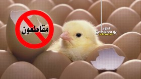 حملة واسعة لمقاطعة البيض تحت شعار “خليه يفقص”