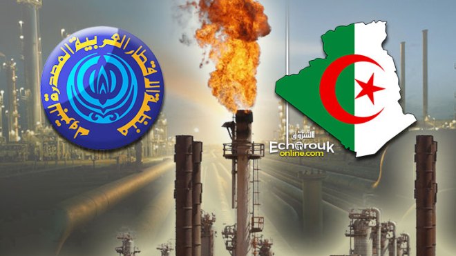 الجزائر تتولى رئاسة منظمة “الأوابك” خلال 2020