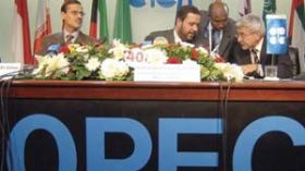 Opec to take decision in December