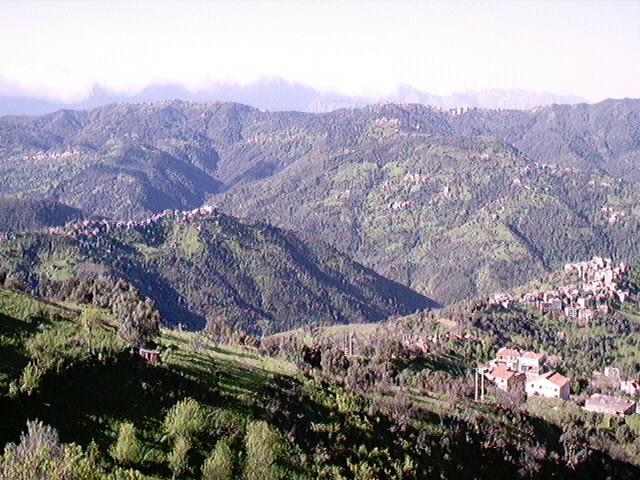 Les ravisseurs cèdent face à la mobilisation de la population L'otage enlevé en Kabylie libéré tôt ce matin