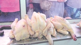 احذروا.. حبوب منع الحمل و”الميغا ماس” لتسمين الدجاج!