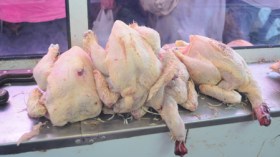 لحم الدجاج بـ400 دينار للكيلوغرام أياما قبيل رمضان