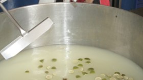 مساحيق كيميائية سامة في أكياس”الشاربات”