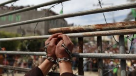 الاحتلال يعتقل 13 فلسطينياً في الضفة