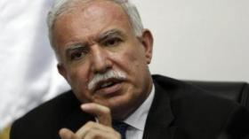 فلسطين: سنقيم دعوى بالجنائية الدولية إن طال أمد التحقيق في حرب غزة